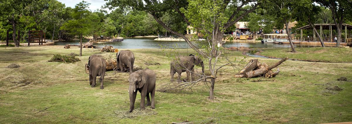 Nearby Attractions